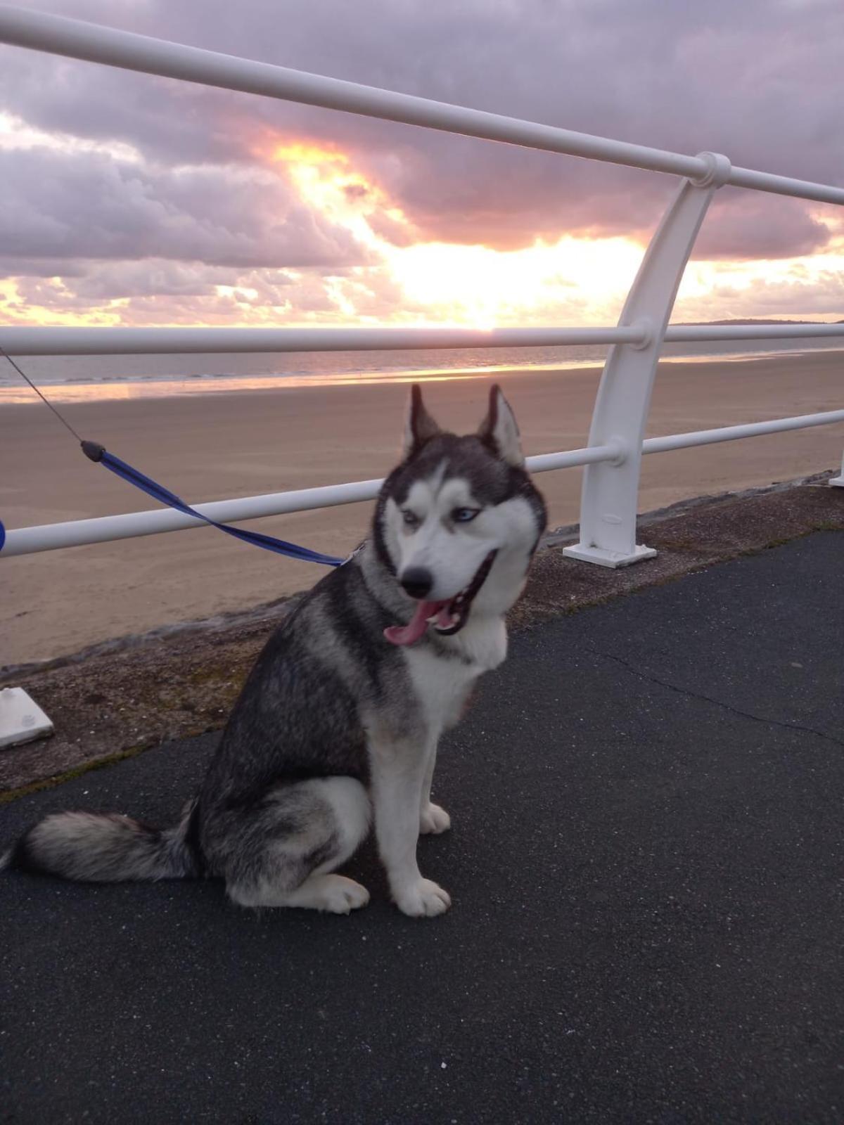 Driftmark Beachfront Location Aberavon Beach Sea Views Large Driveway Parking Private Site Fibre Optic Wi Fi Port Talbot Extérieur photo